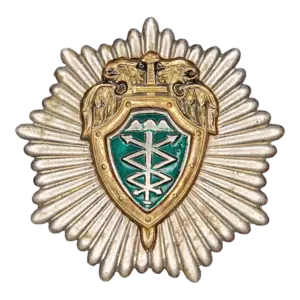 Знак «ФПУ Спецсвязи России»