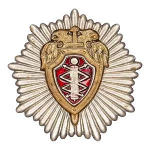 Знак «УИС Спецсвязи России»
